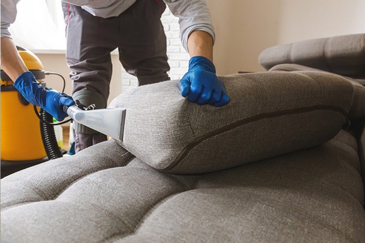 Specjalista odkurza kanapę – Sprzątanie domu